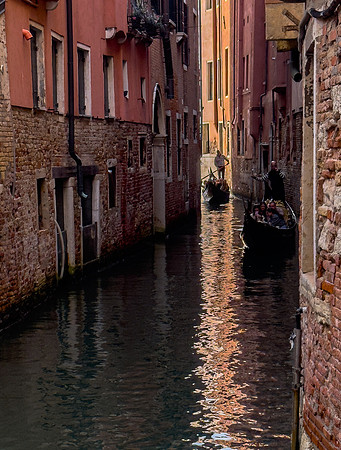 The Best of Venice 1216-19