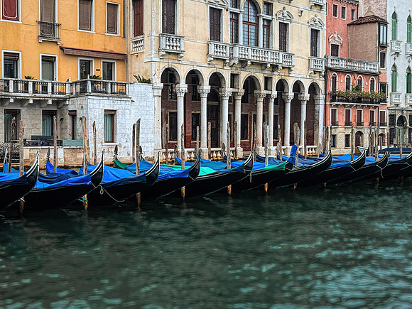The Best of Venice 1216-58