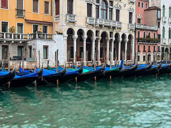 The Best of Venice 1216-63