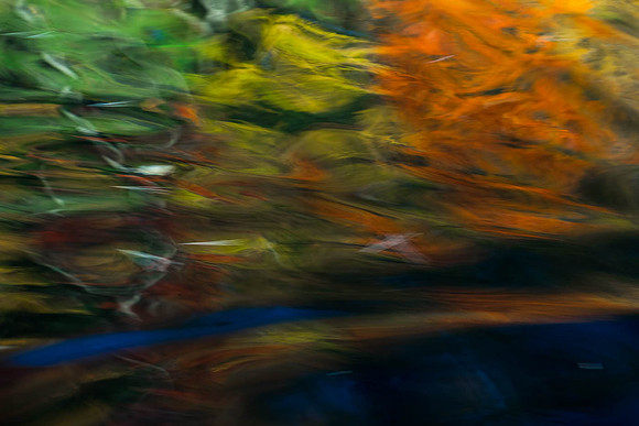 DSCF6306