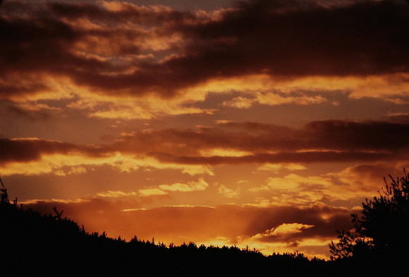 Sunset over Farm