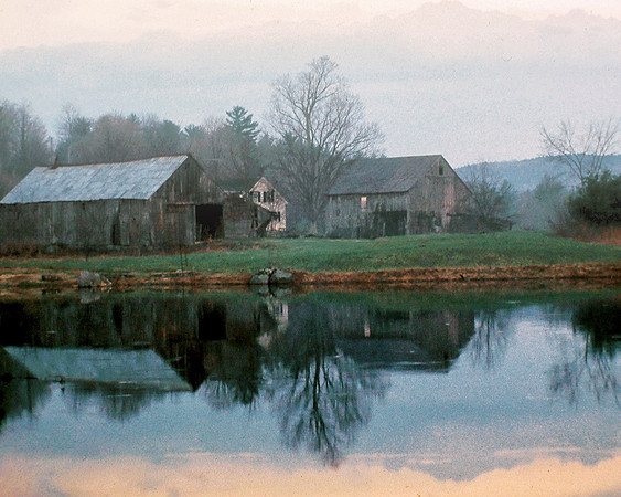 Spring Fog