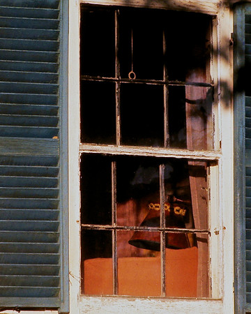 Window Shade