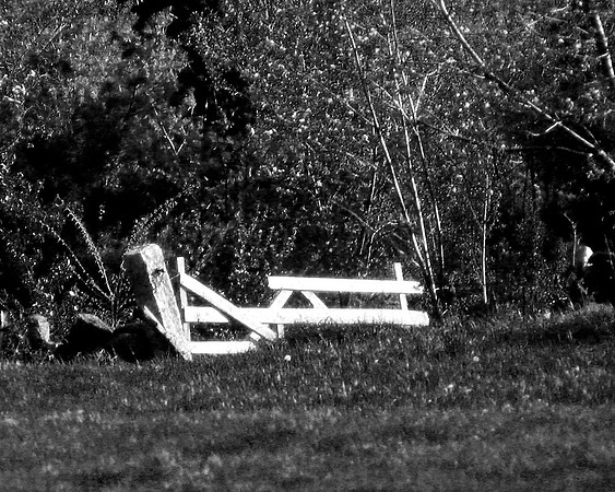 Gate to Upper Meadow