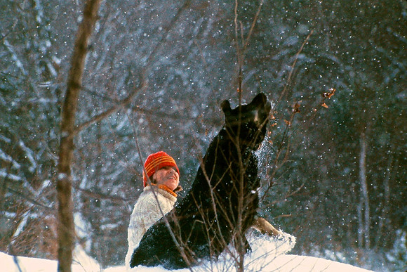 Catching Snow  Balls