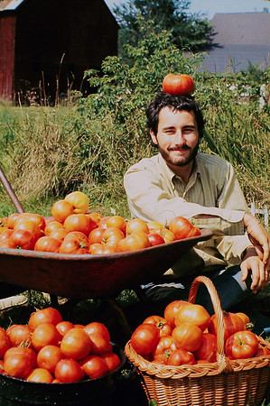 Harvest