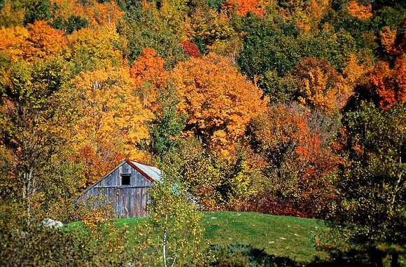Fall Westboro Corner