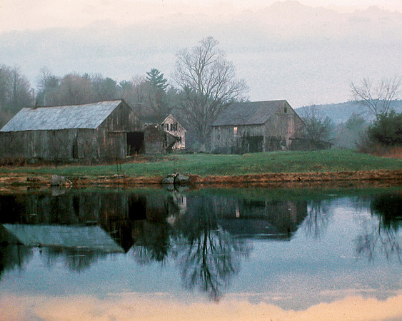 Early Spring