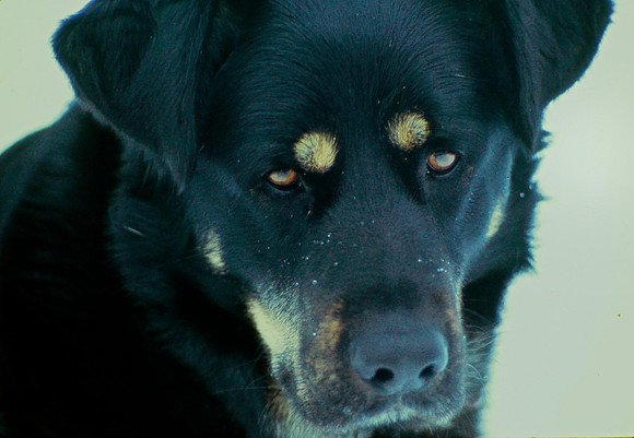 Mr. Major