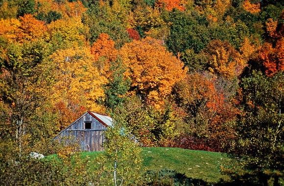 Wood Barn in Fall