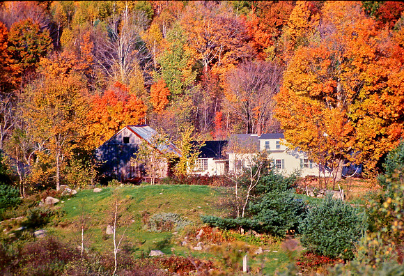 View From the West