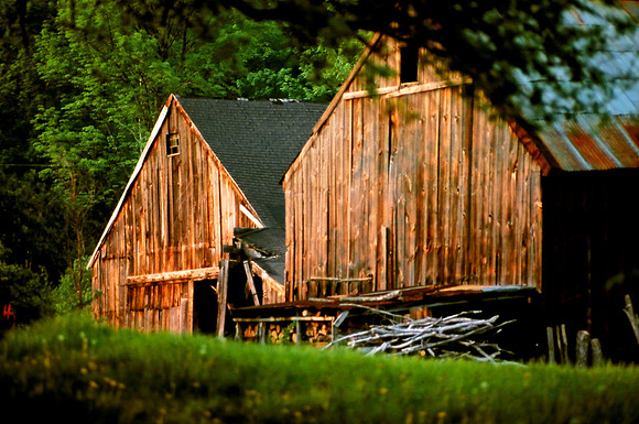 Summer Setting Sun