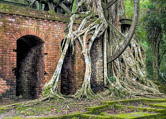 Abandoned Sugar Mill