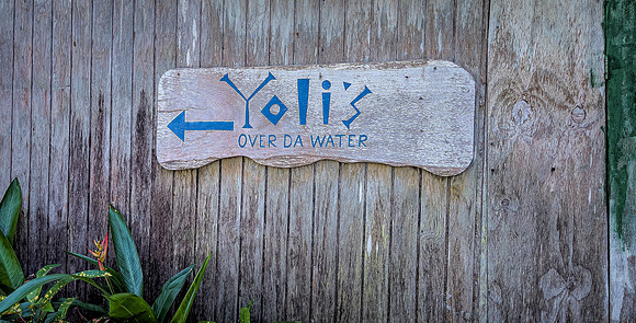 Watering Hole