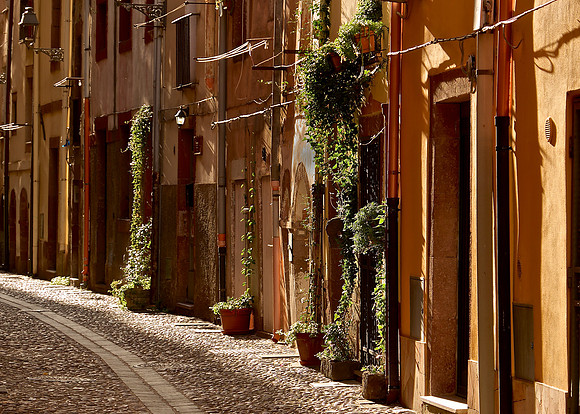 Morning Light, Bosa