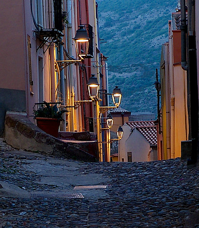 Morning Lights