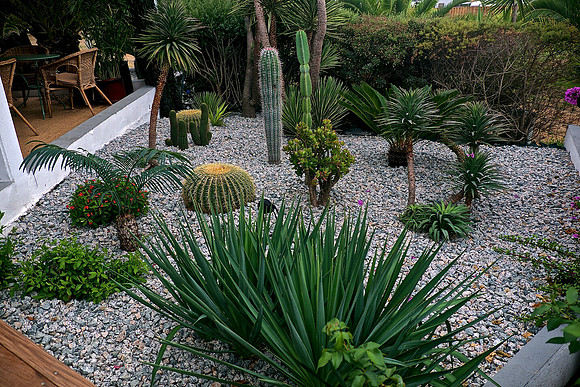 Annie and Andy's new garden