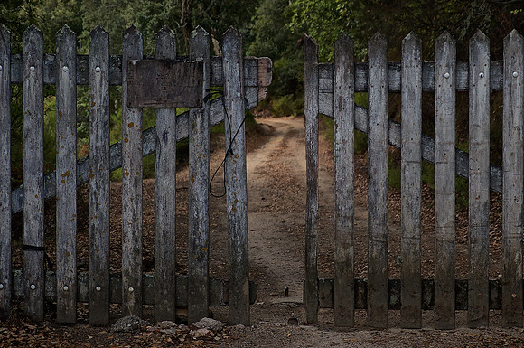 Camille's gate