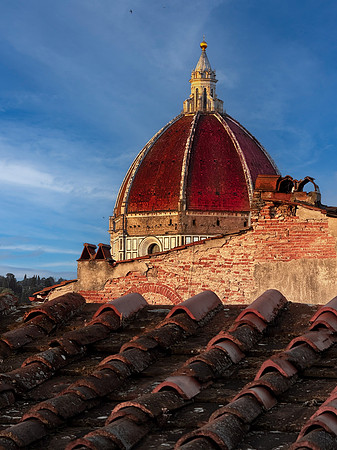Italy 135 Website-1
