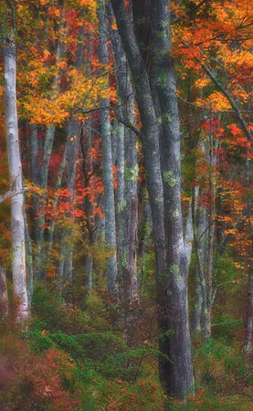 Impressionist Afternoon #3