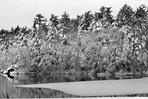 Chase's Pond 3