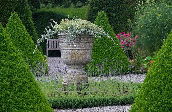Garden Delight