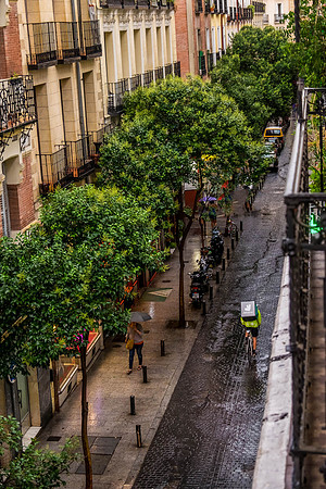 Calle de Leon
