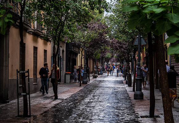 Old Town