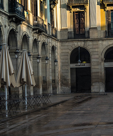 Placa Reial Morning