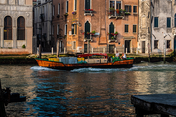Venezia