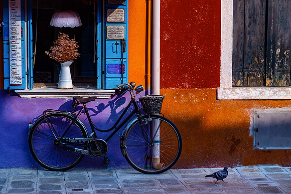 Burano Bicycle & Pigeon