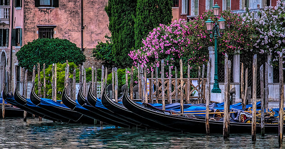 Roses & Gondolas