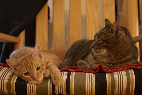 Henry & Charlie