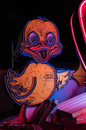 Vegas Bird