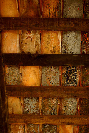 Roof Tiles, El Tuito,  Mexico