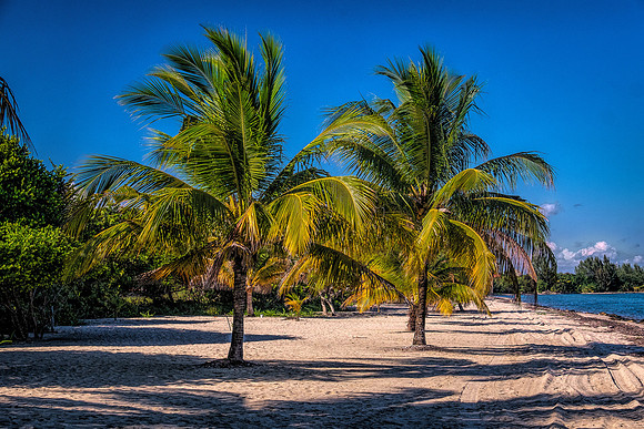 Mandy's Beach