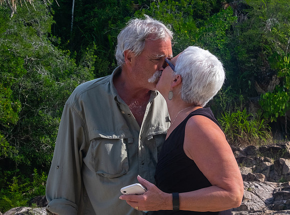 Love Birds