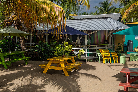 The  Smoothie Shack