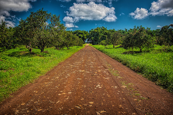 Road to Placencia