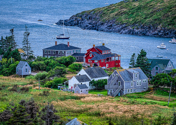 Safe Harbor