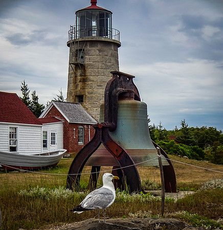 Seagull & Bell**
