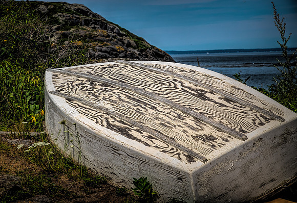 Fish Beach Boat