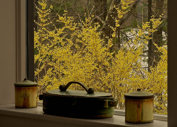 Kitchen Window