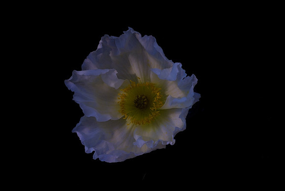 Blue LIght