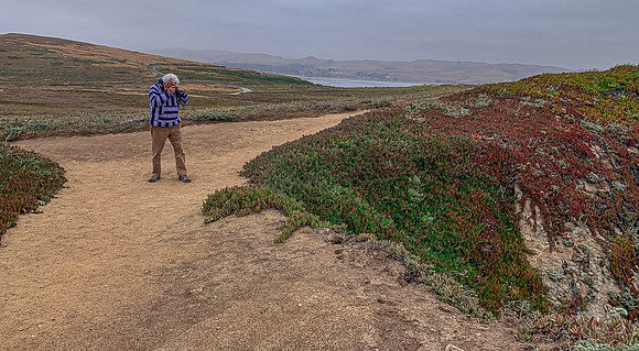 Bodega Bay Head Photograher