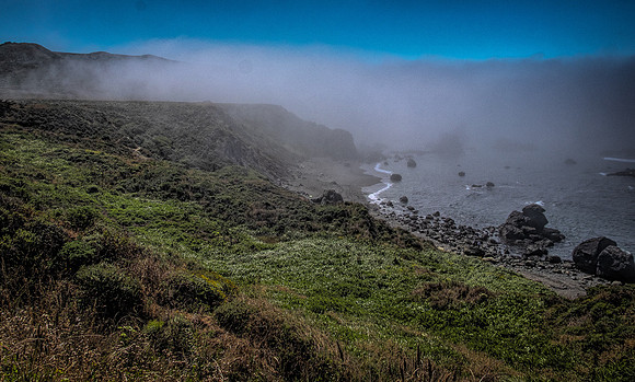 Kortum Trail -  Rolling Fog
