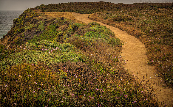 Cliff Walk
