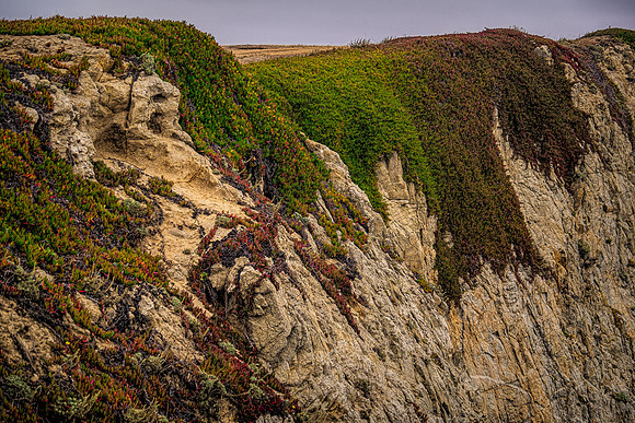 Bodega Bay Cliffs