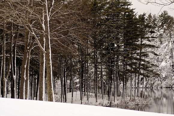 Snow Day