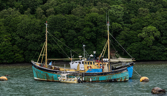 Treasure Hunter